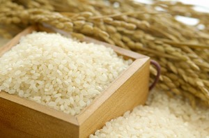 rice_img004